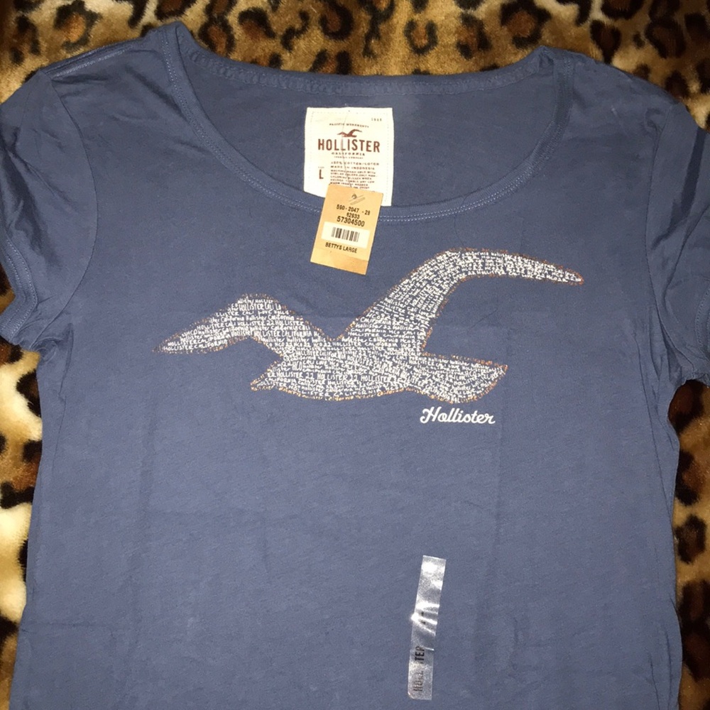 Hollister Short Sleeve Shirt